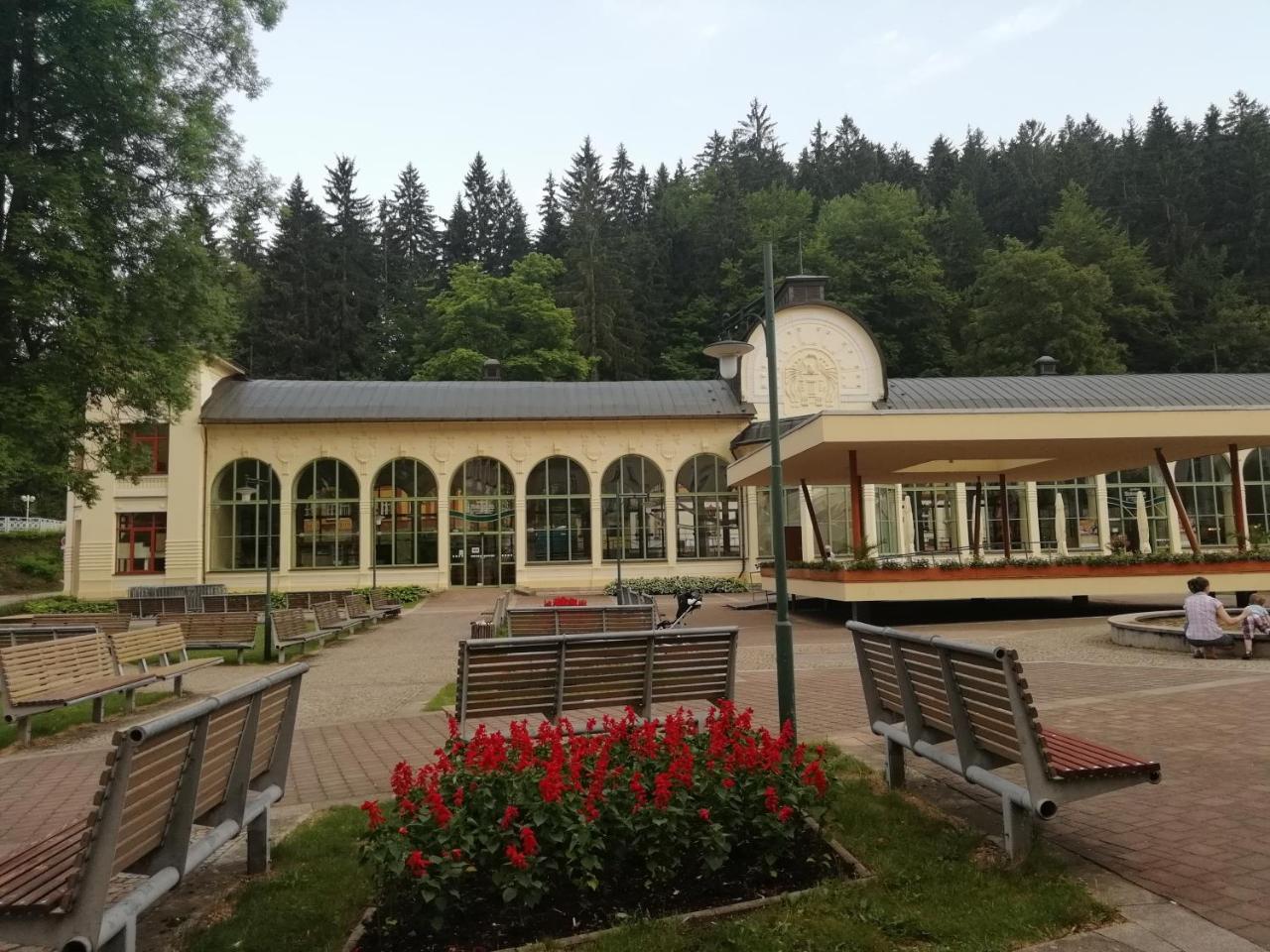 Apartman Jestrab 5 Janske Lazne Exterior photo